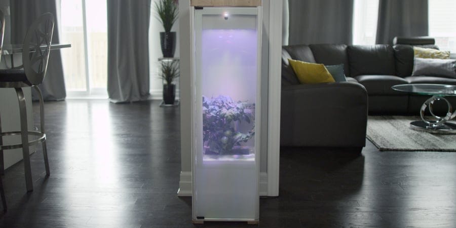 The Grobo cannabis home growing system (Photo: Grobo)
