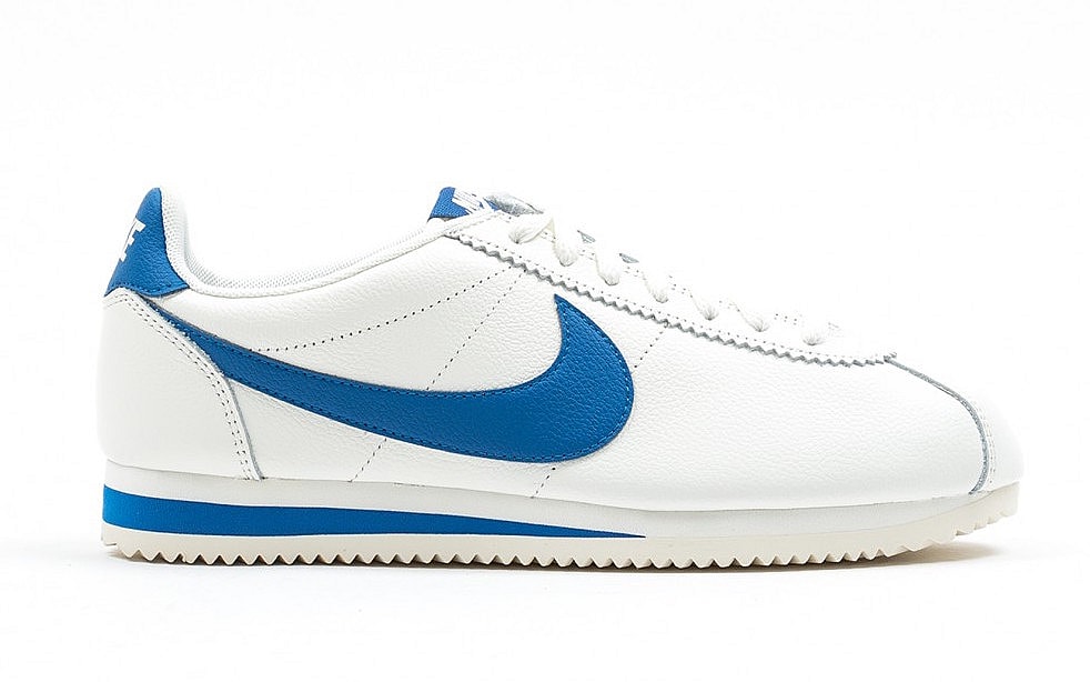 cortez-blue-jay-1