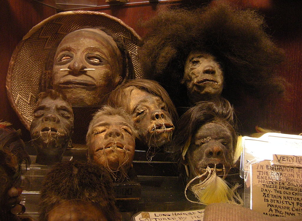 1024px-Seattle_-_Curiosity_Shop_-_shrunken_heads_02A Shrunken Heads