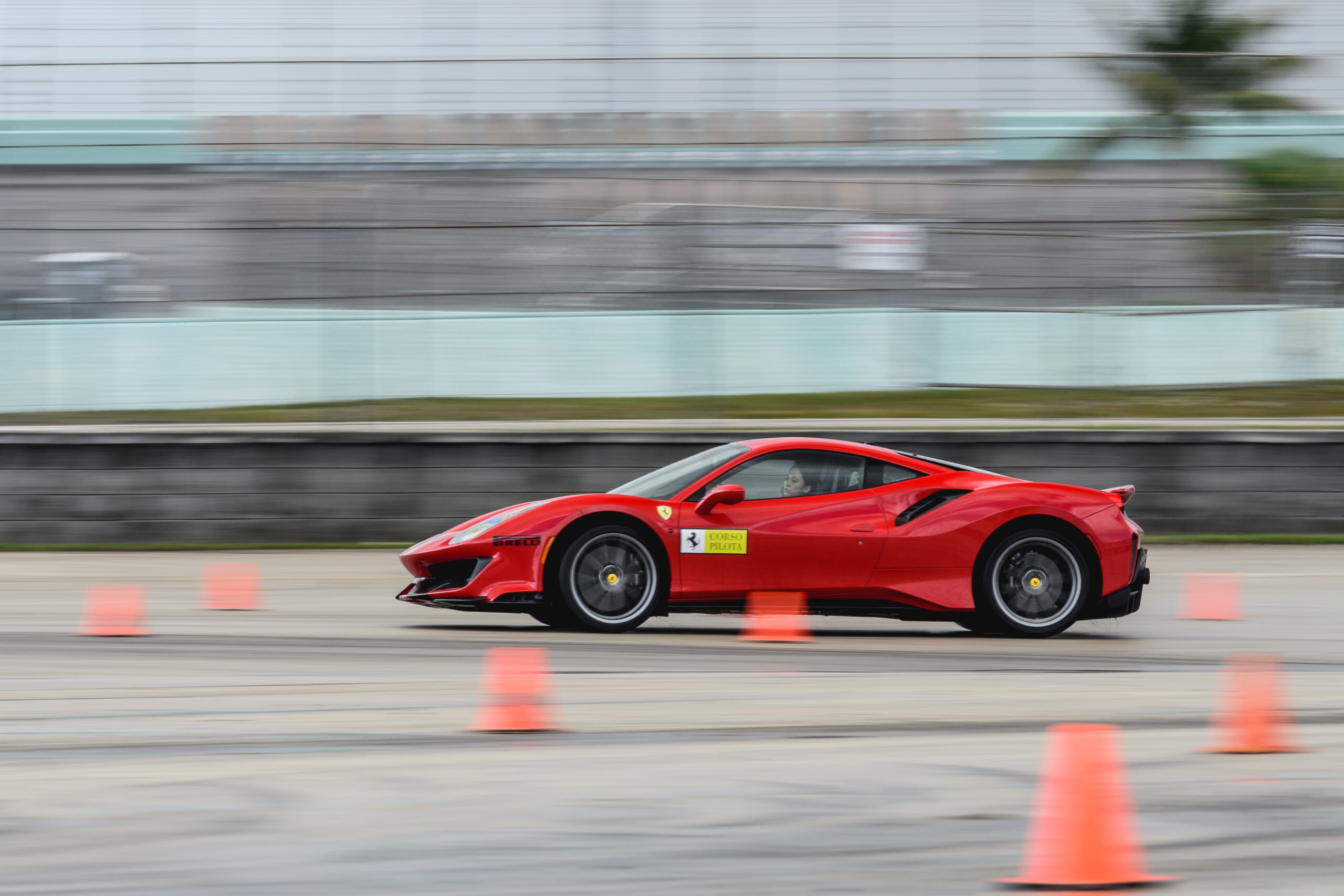 20190501-DSC_5053