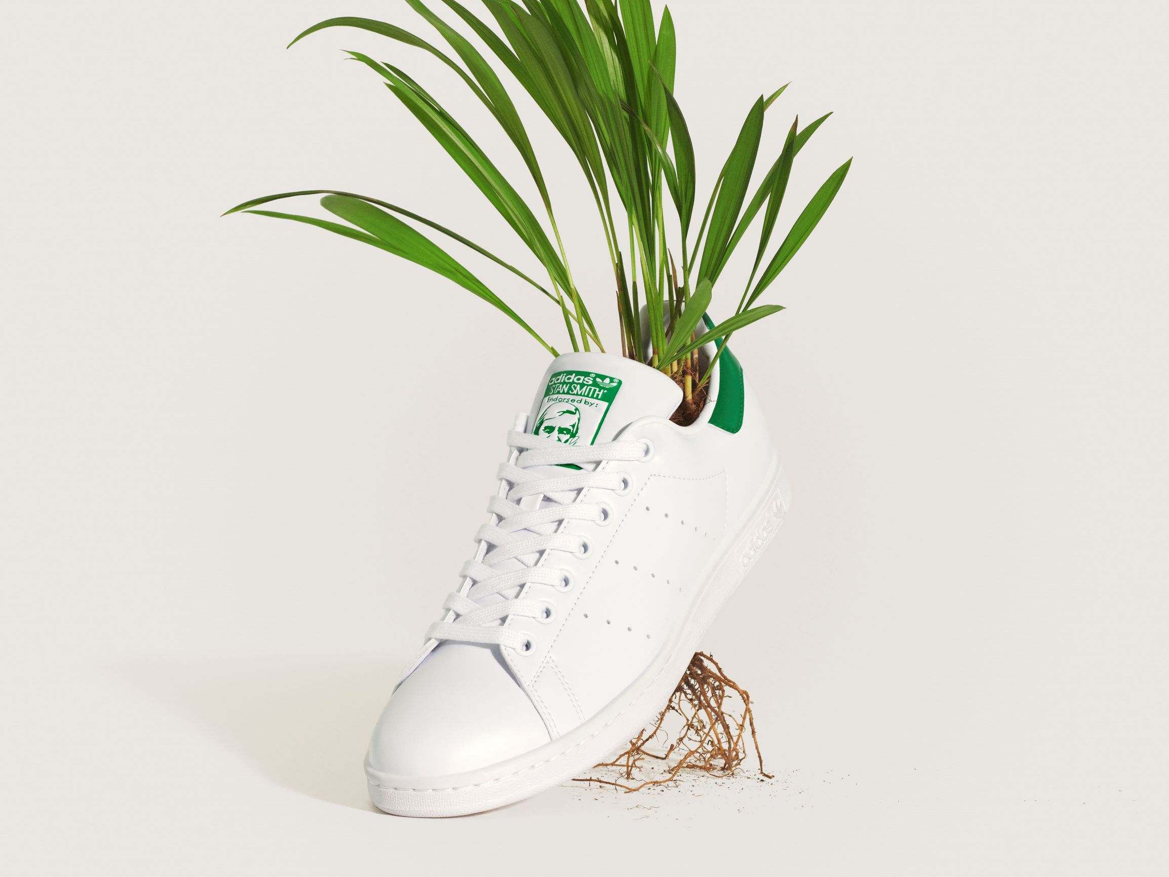 stan smith eco