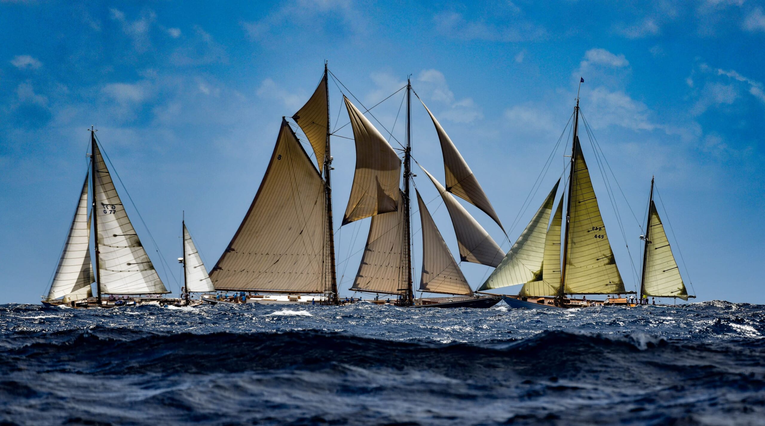 yacht racing antigua