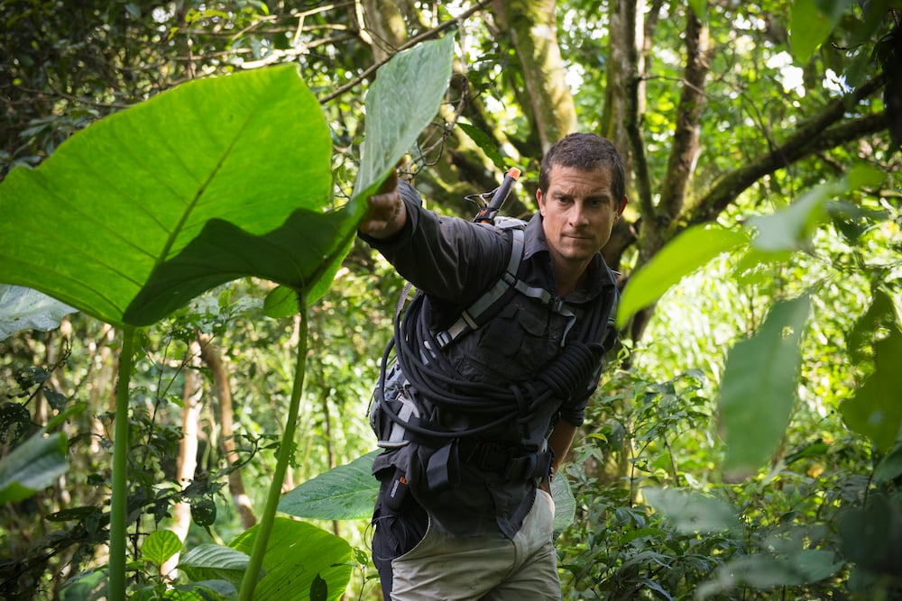 Bear-Grylls-Headshot-2