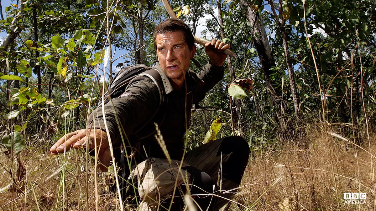 Bear-Grylls-man-wild-main