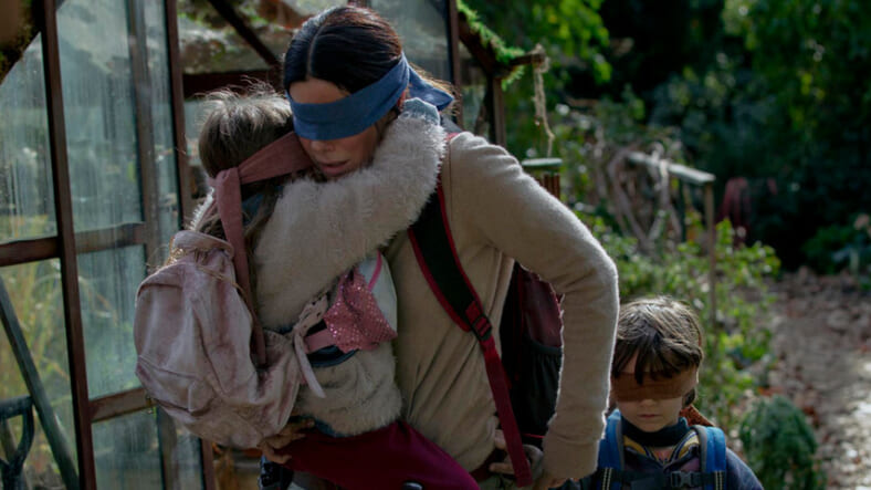 bird box