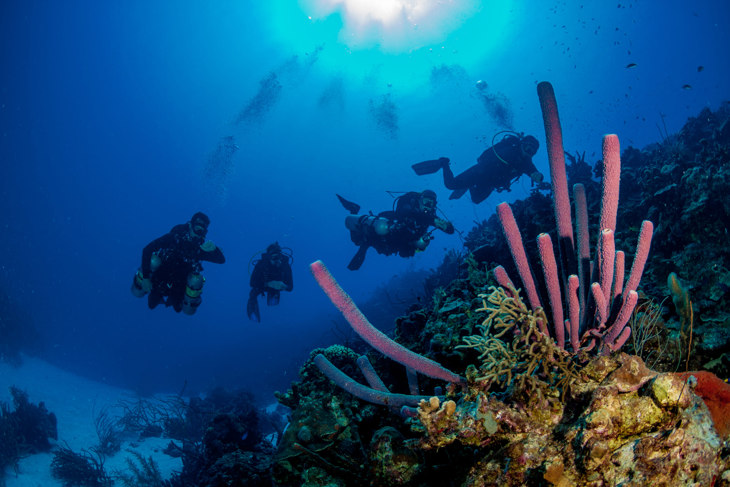 Bonaire Scuba Diving