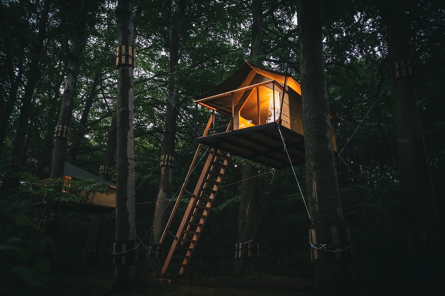 Boomkamp Treehouse Hotel #2