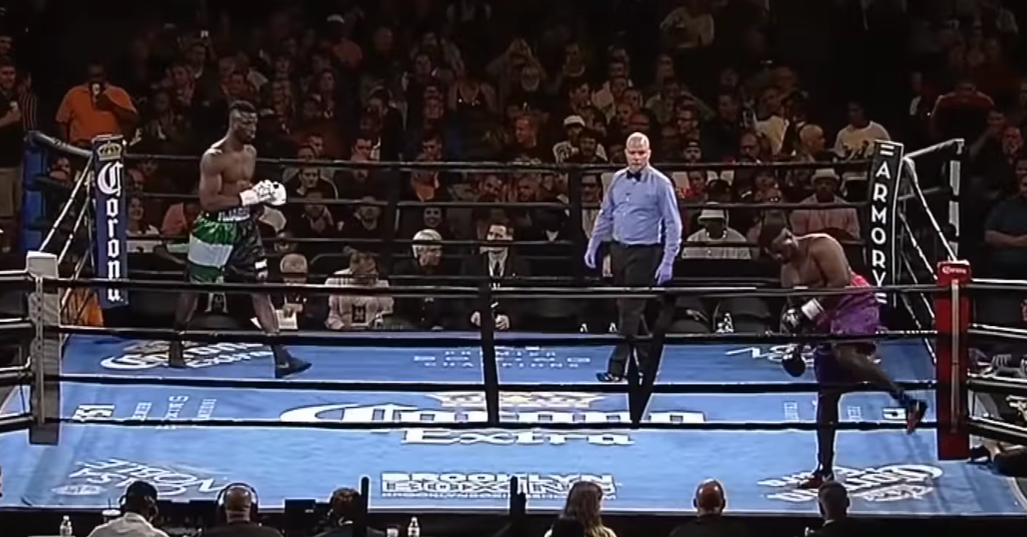 Boxer DQ promo