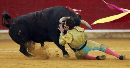 bullfighter gored in eye promo