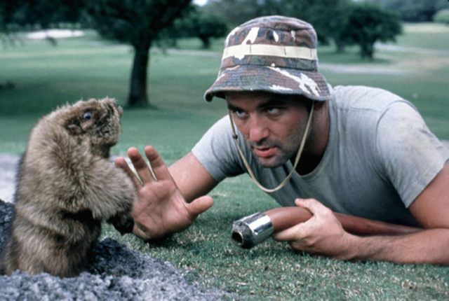 caddyshack.png
