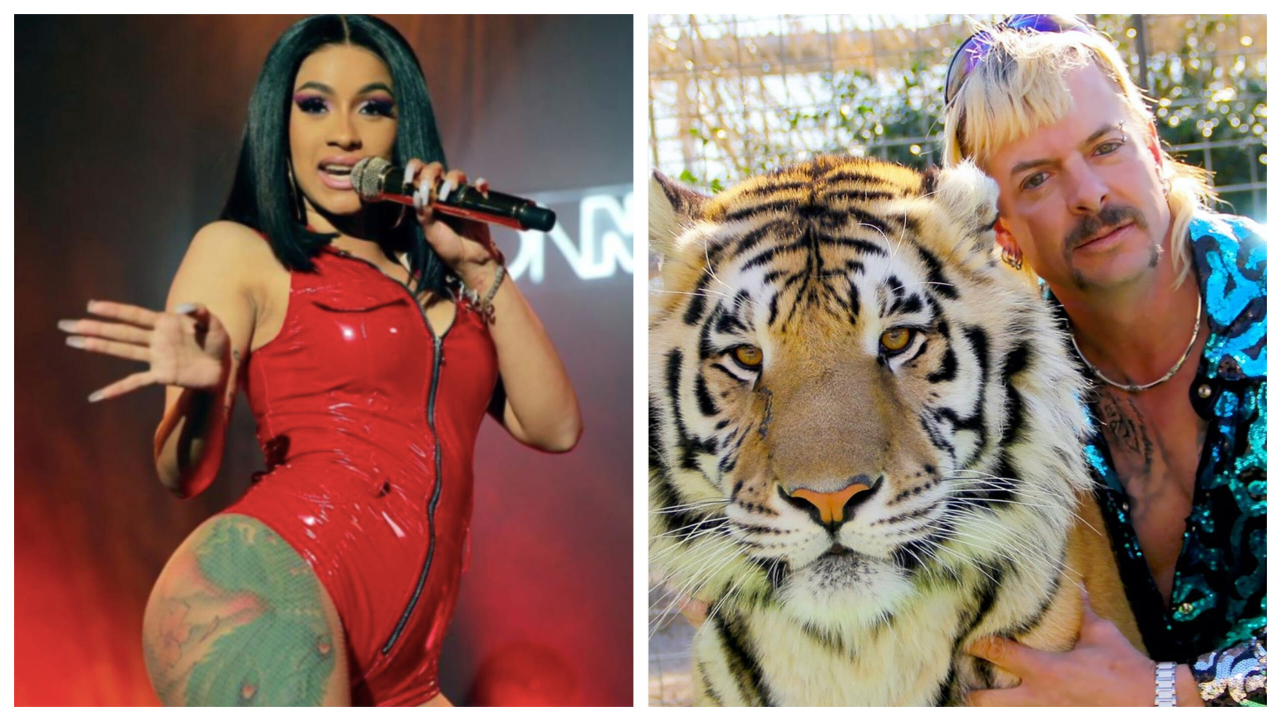 cardi-b-tiger-king-joe-exotic