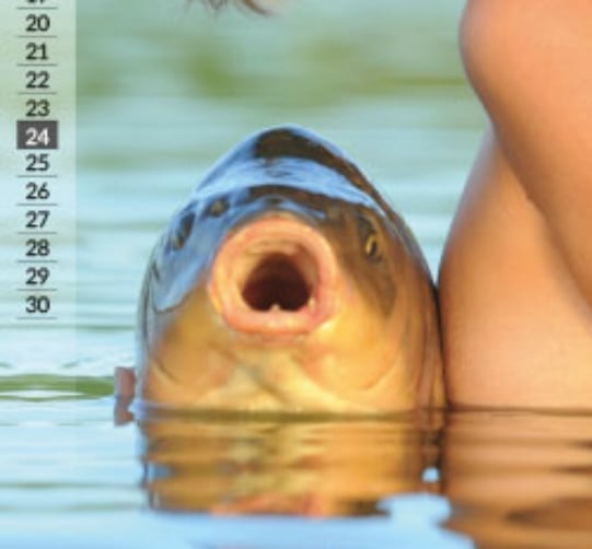 carp8-7