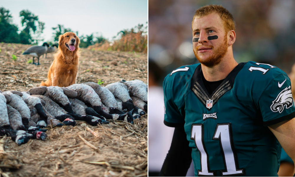 carson wentz