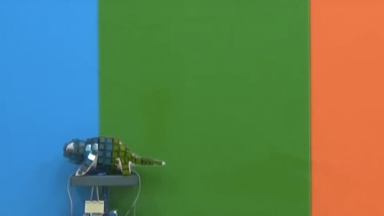 Chameleon robot dynamically changes color