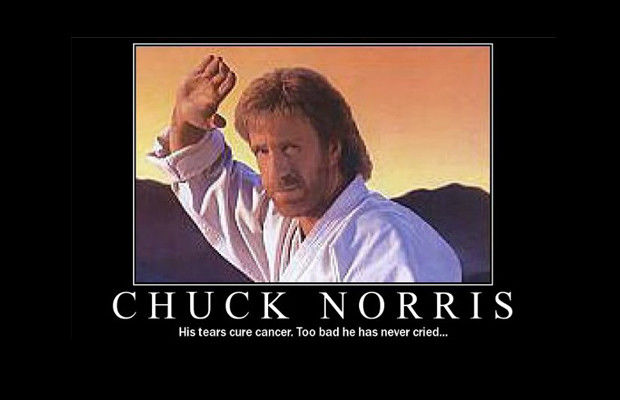 Chuck Norris 8 via Funny Pictures.jpg