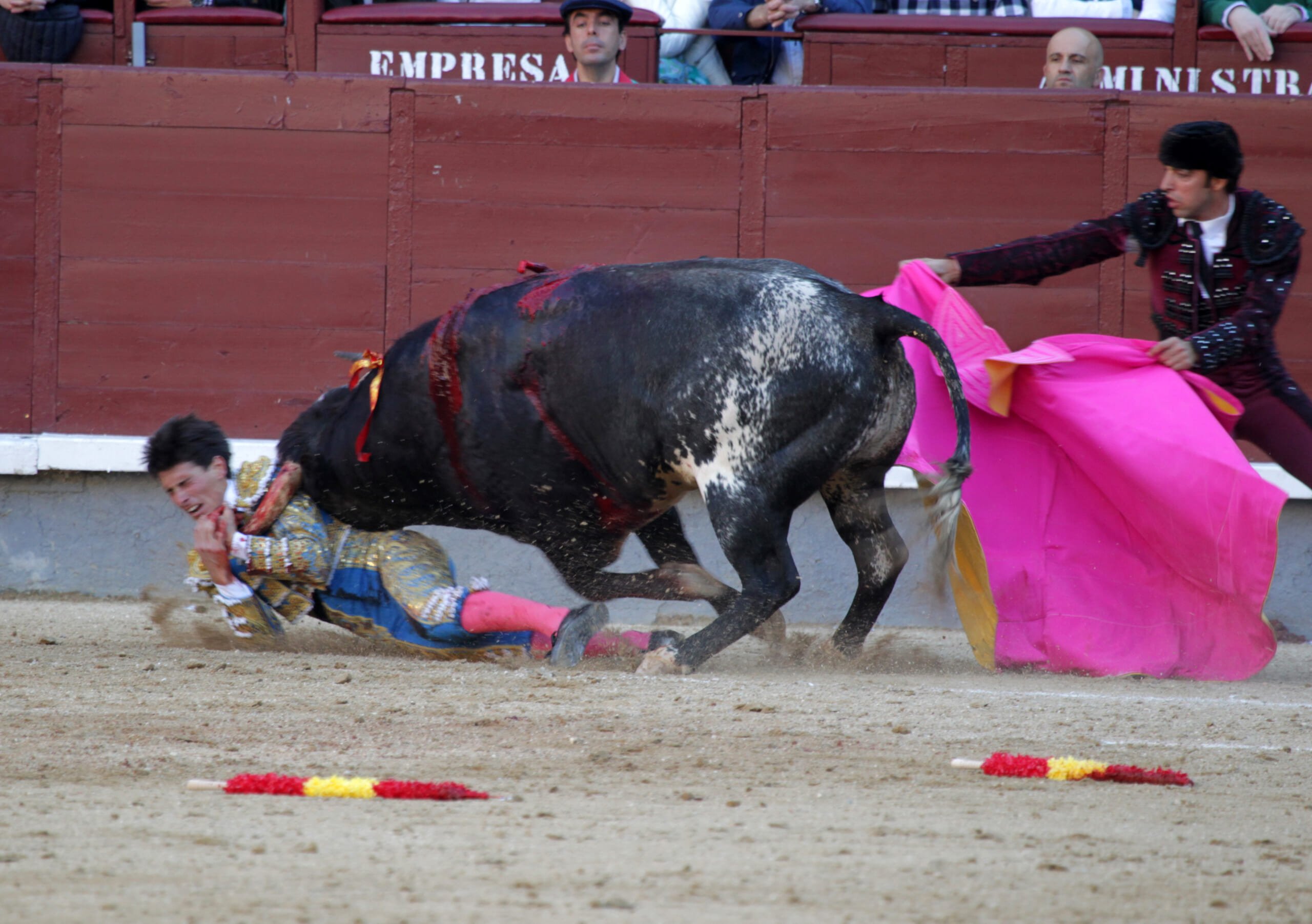 Daniel García Navarrete (1)