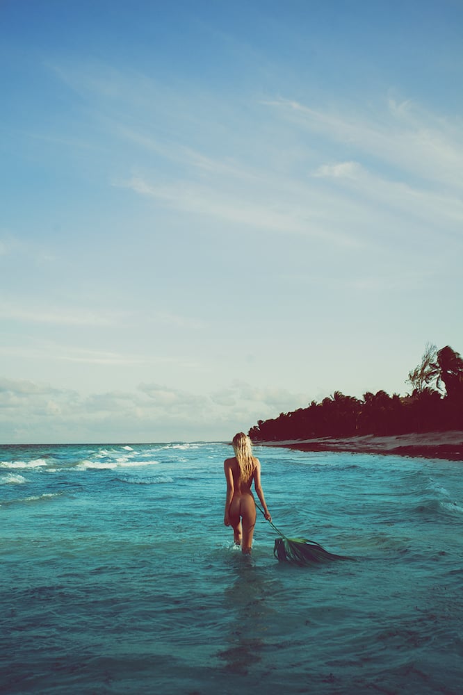 dove-shore-1
