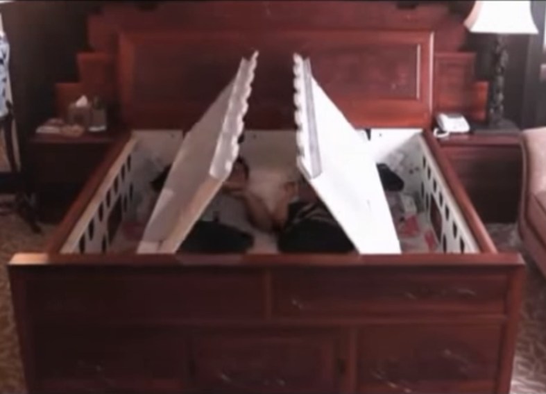 Earthquake-proof bed automatically encases and protects sleepers