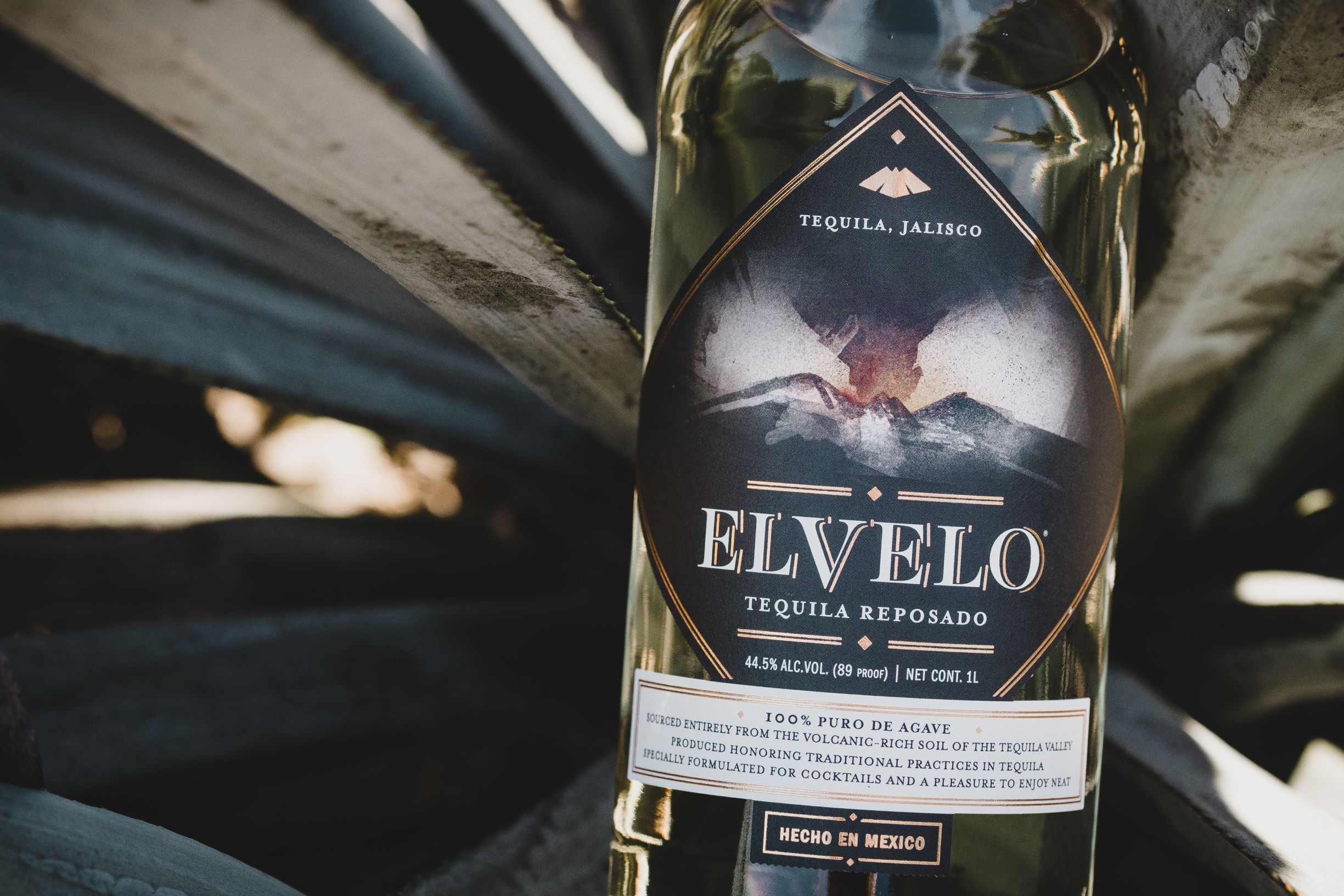 Elvelo Reposado (2)