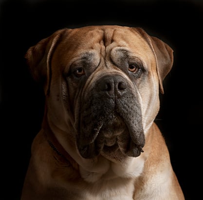 GettyImages-157903359