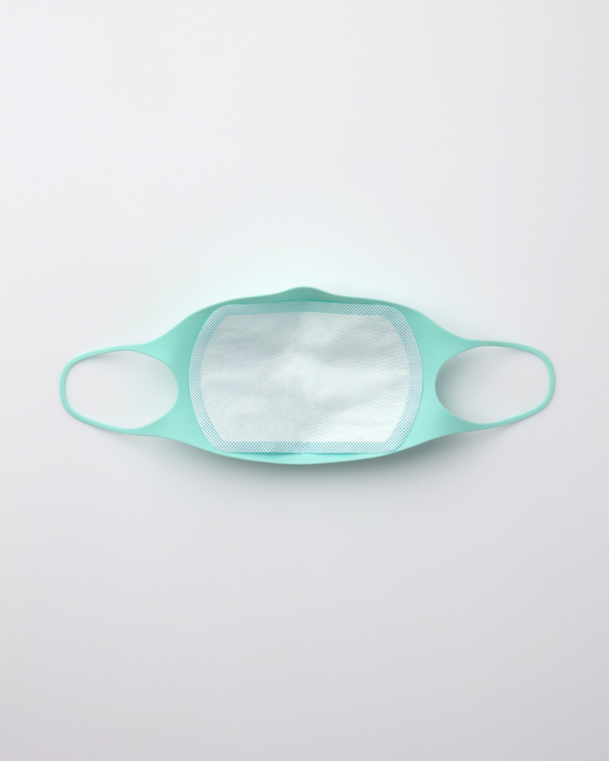 gir-facemask-filter