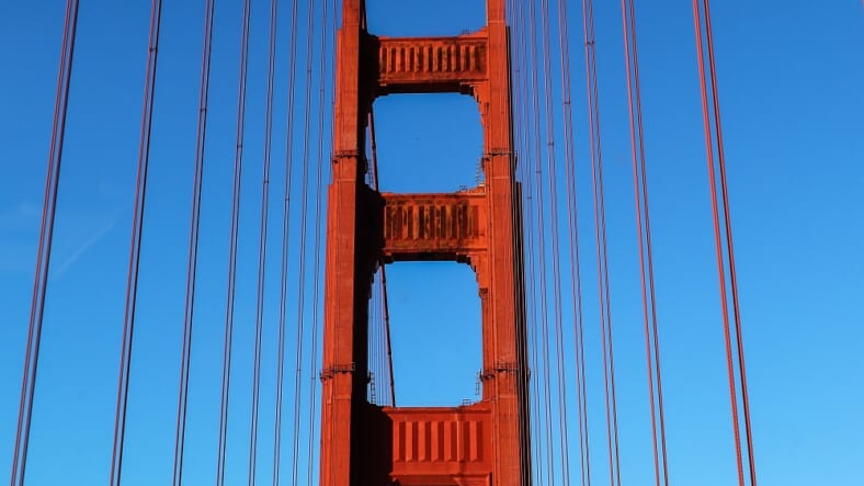 Golden Gate blow dart AP