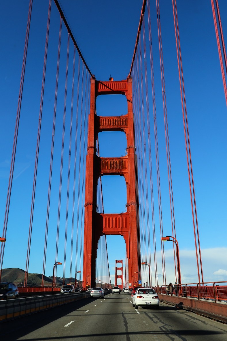 Golden Gate blow dart AP