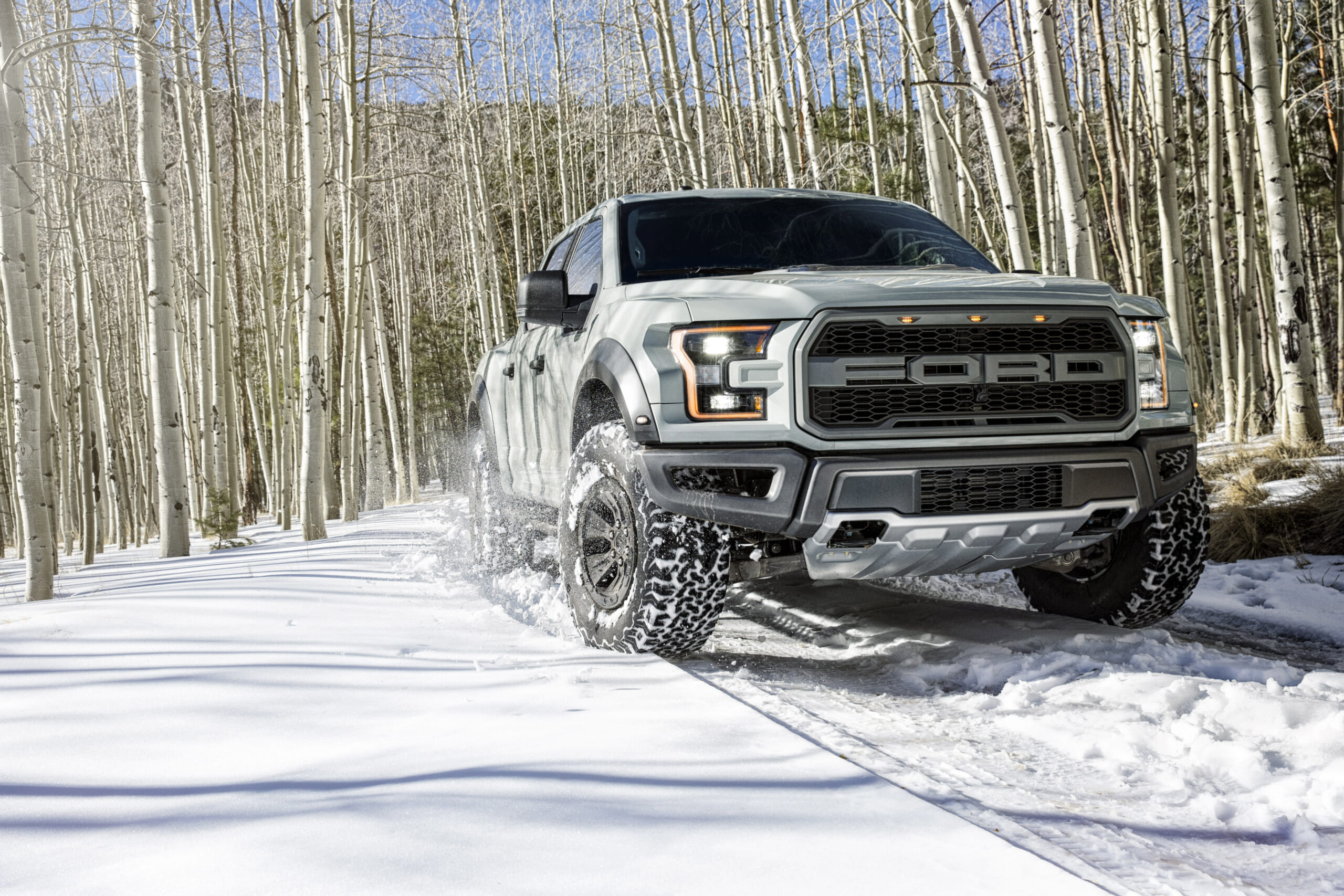 Gray_Raptor_Flagstaff_Snow_0074 (1)