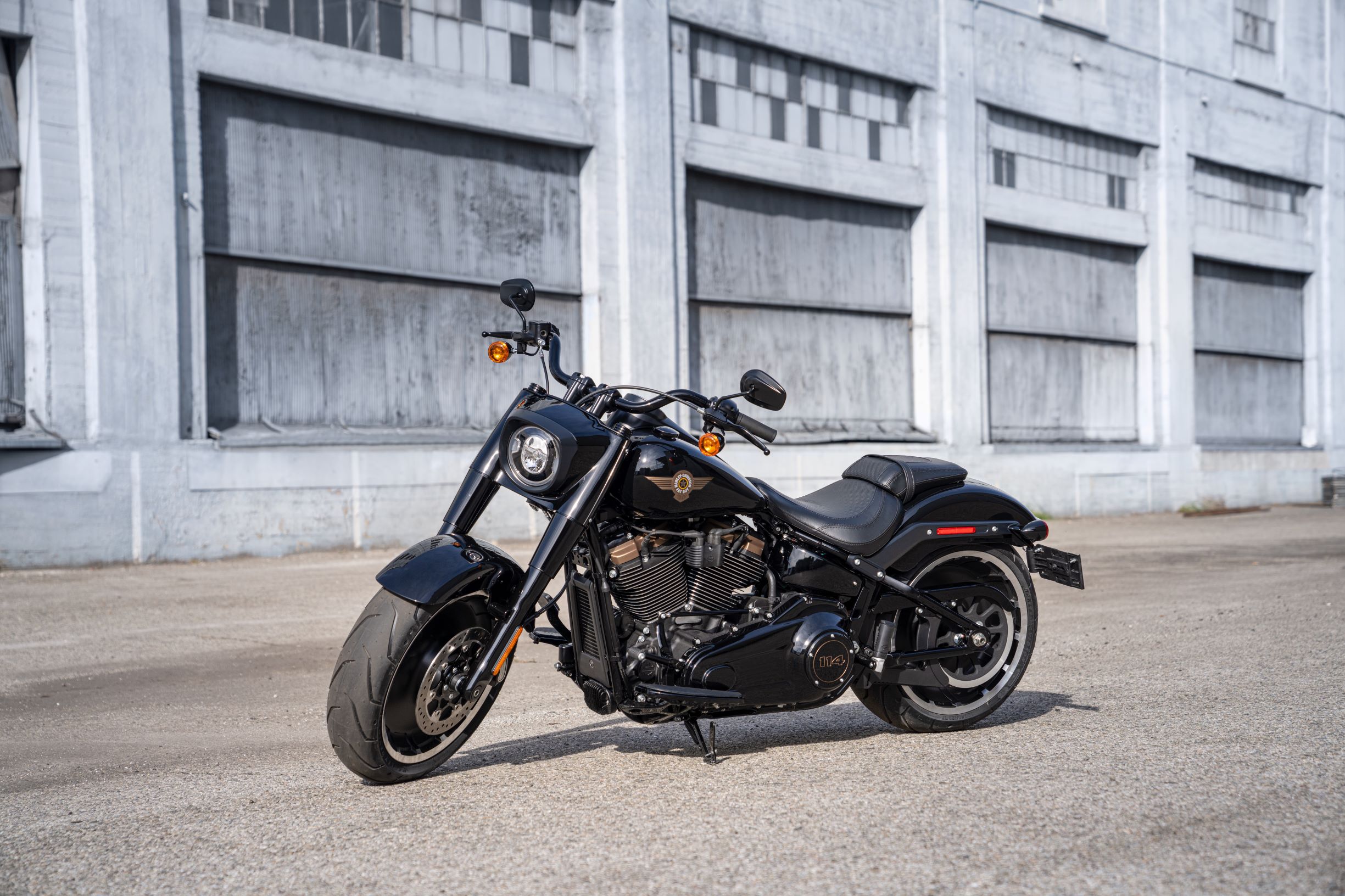 Harley-Davidson Fat Boy 30th Anniversary (3)