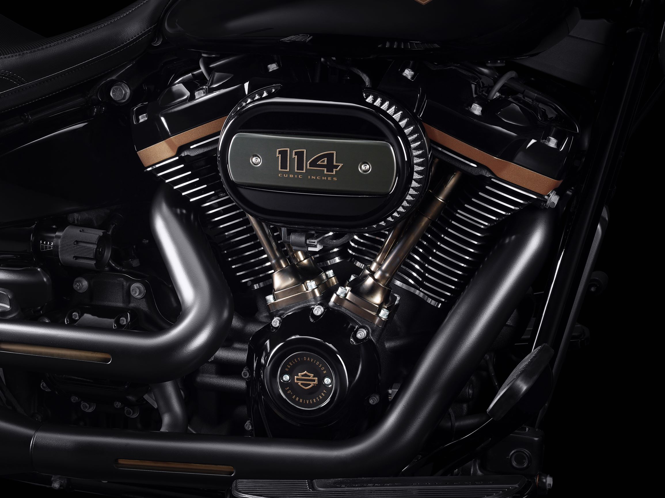 Harley-Davidson Fat Boy 30th Anniversary (5)