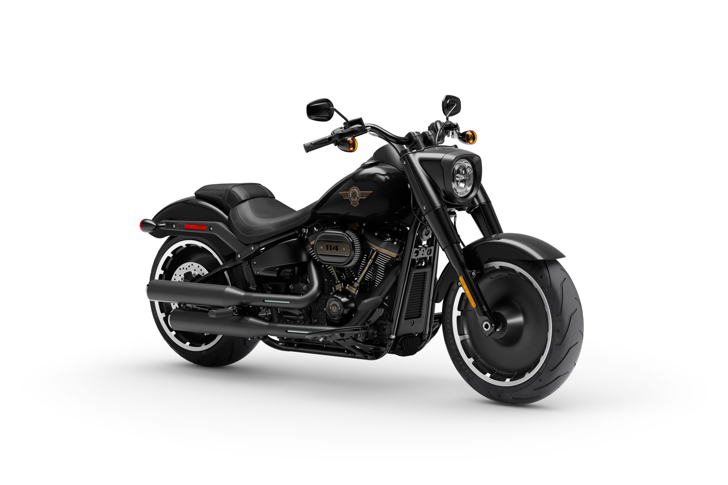 Harley-Davidson Fat Boy 30th Anniversary (7)