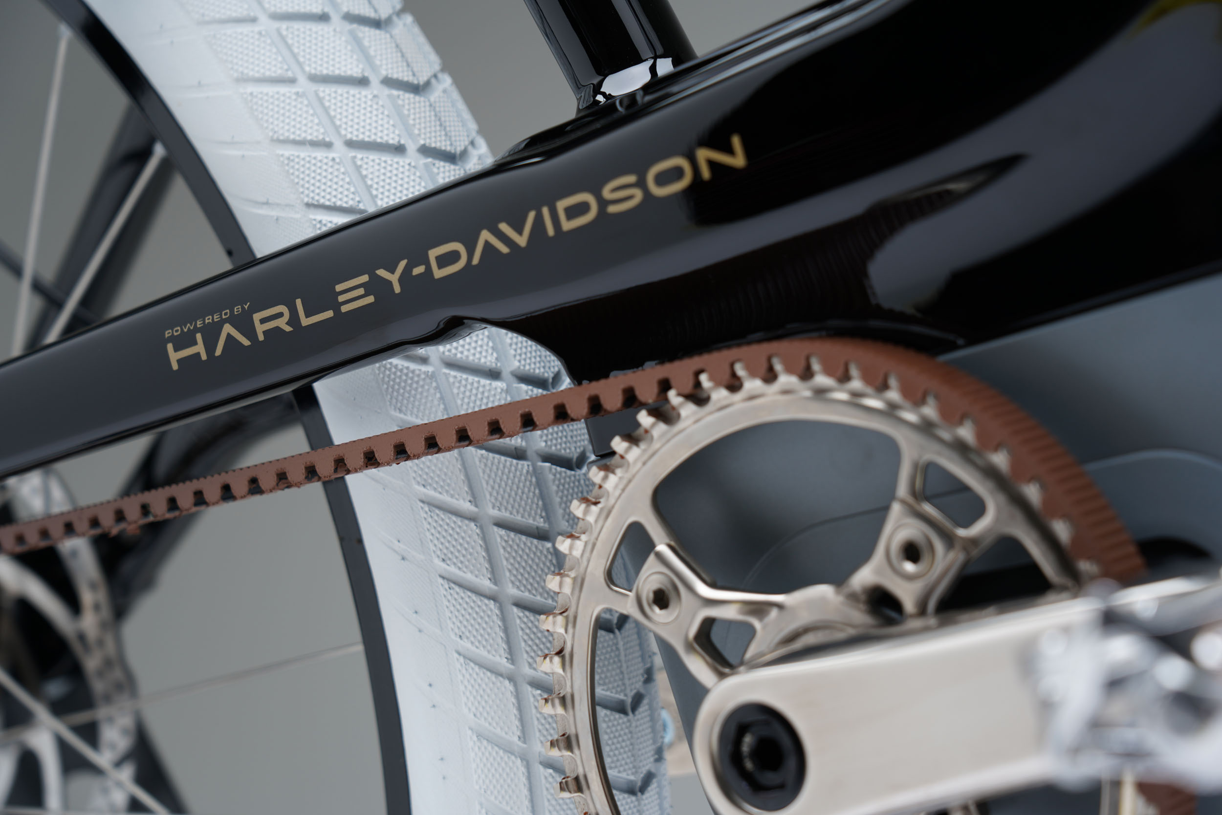 Harley-Davidson Serial 1 Electric Bicycle (1)