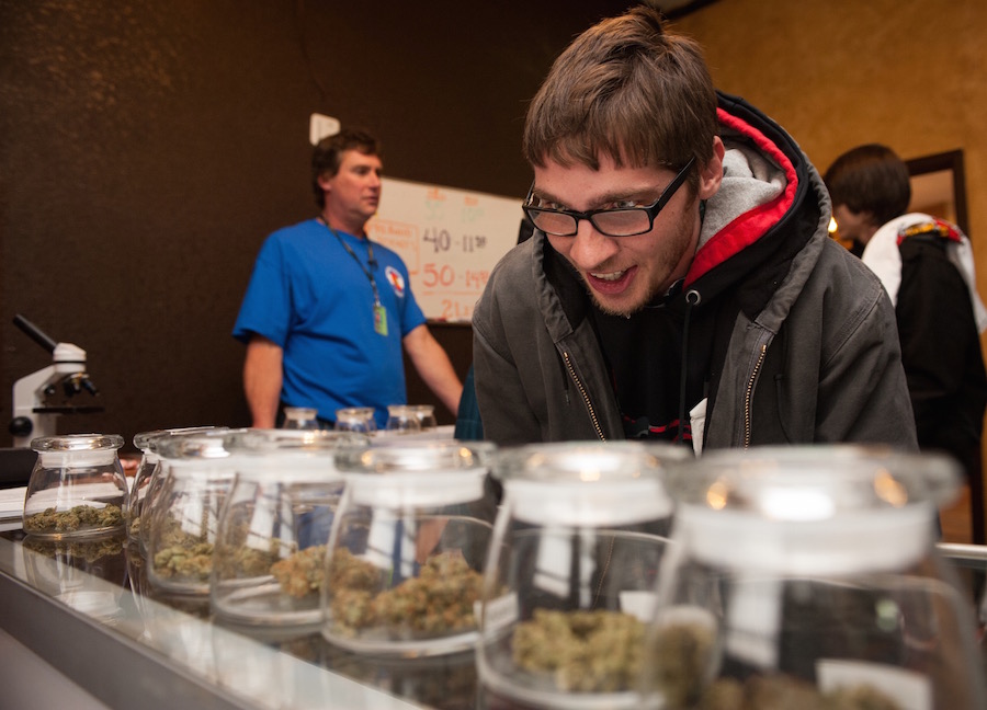 idaho-weed-paranoid-main.jpg