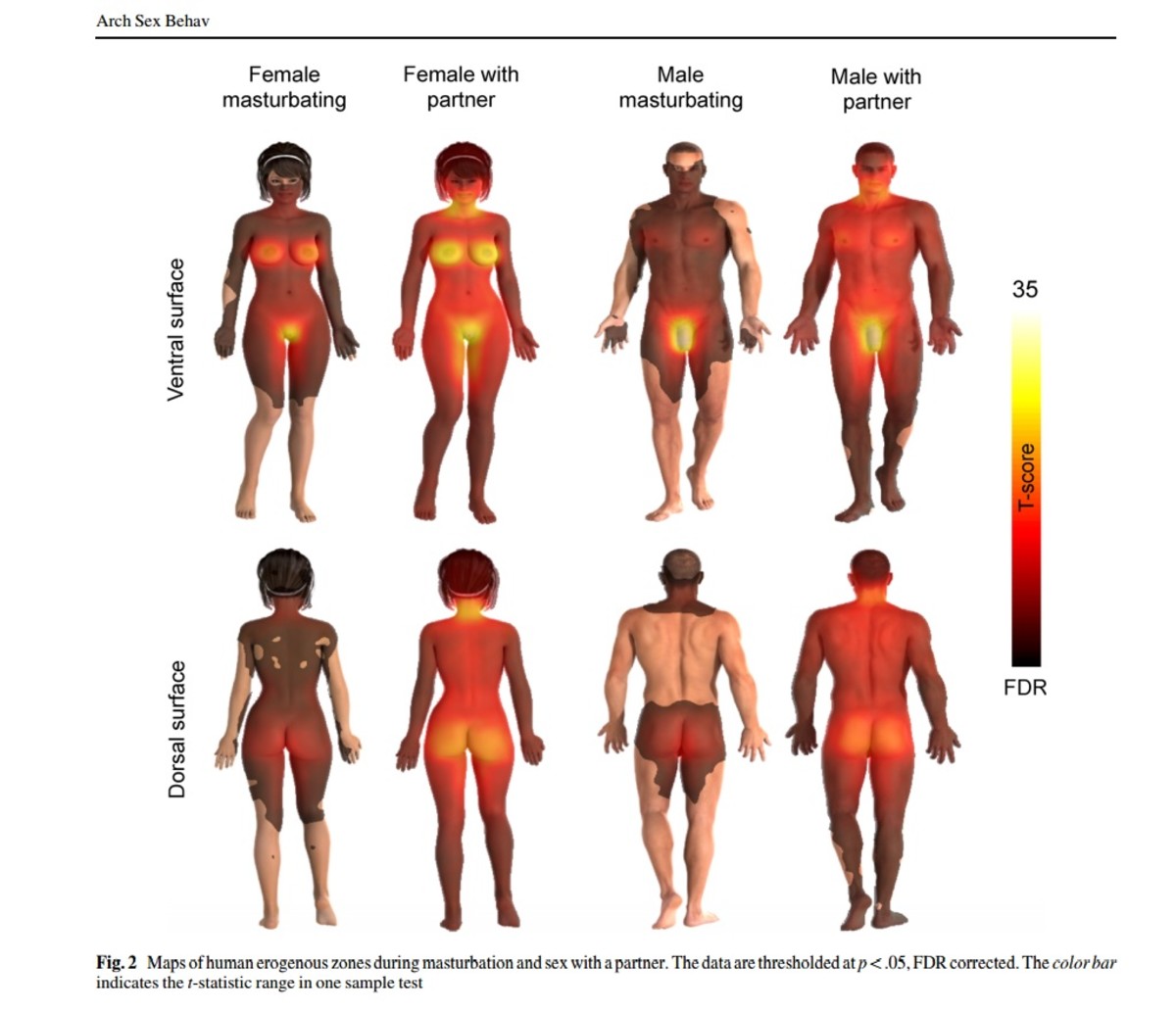 Erogenous Zones Provokr Hot Sex Picture