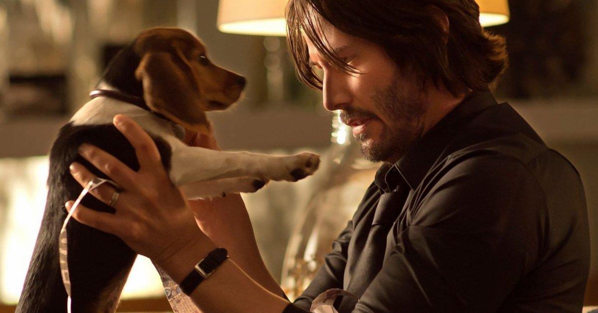 John Wick Dog