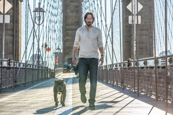 john wick dog