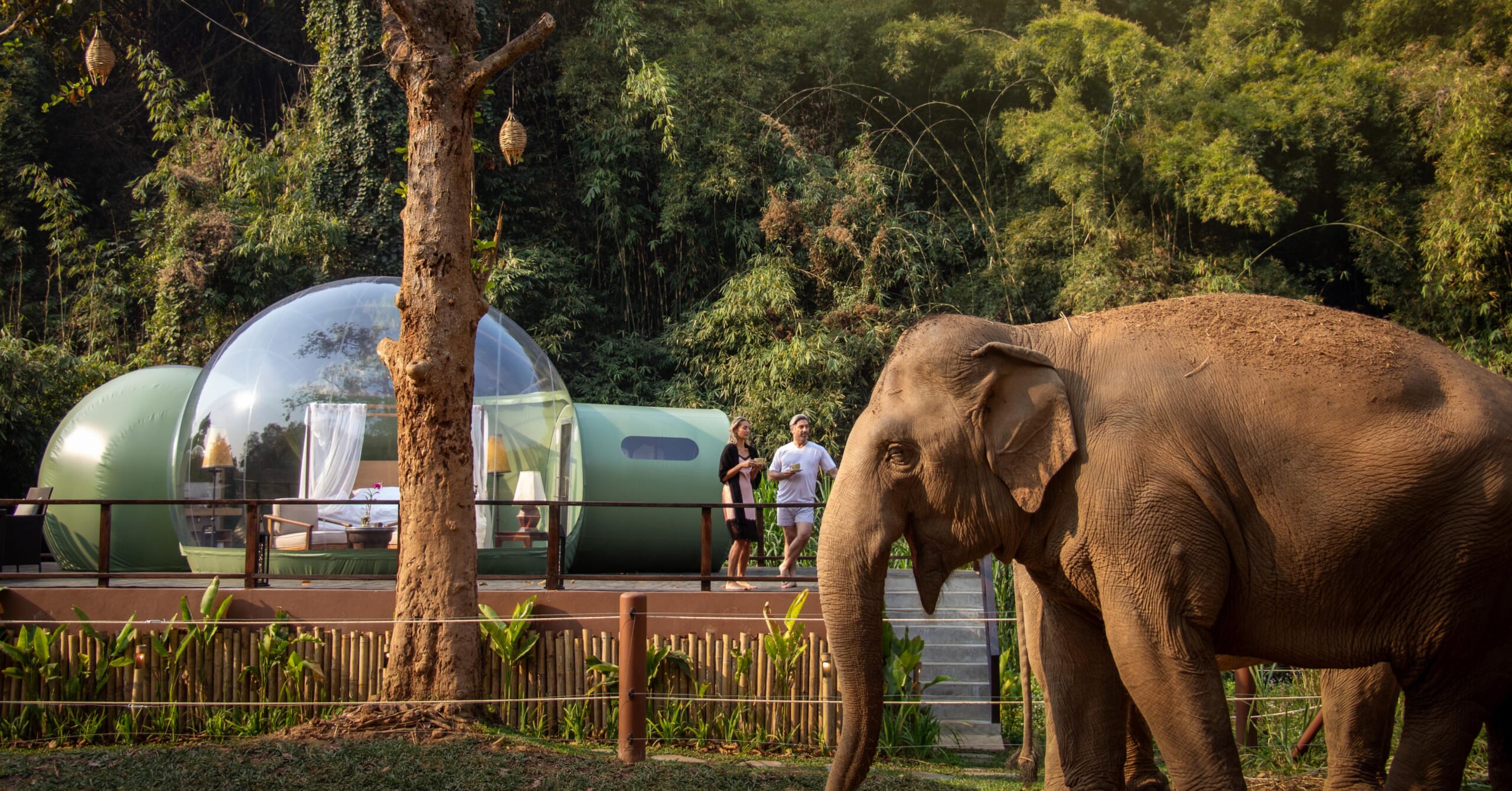 jungle bubble anantara golden triangle promo image