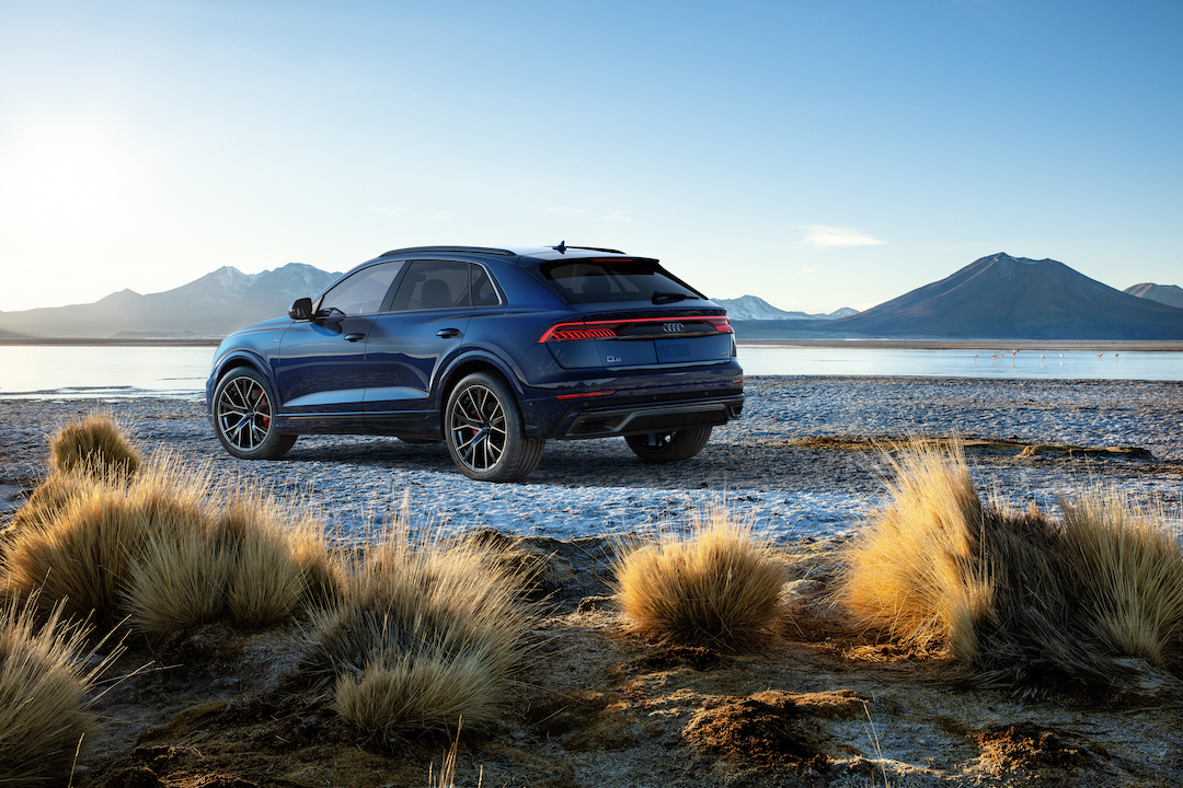 Large-2019-Audi-Q8-4595
