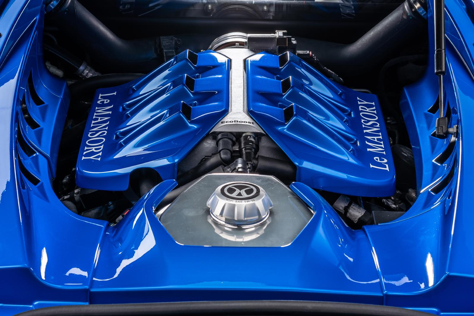 Le Mansory Ford GT (8)