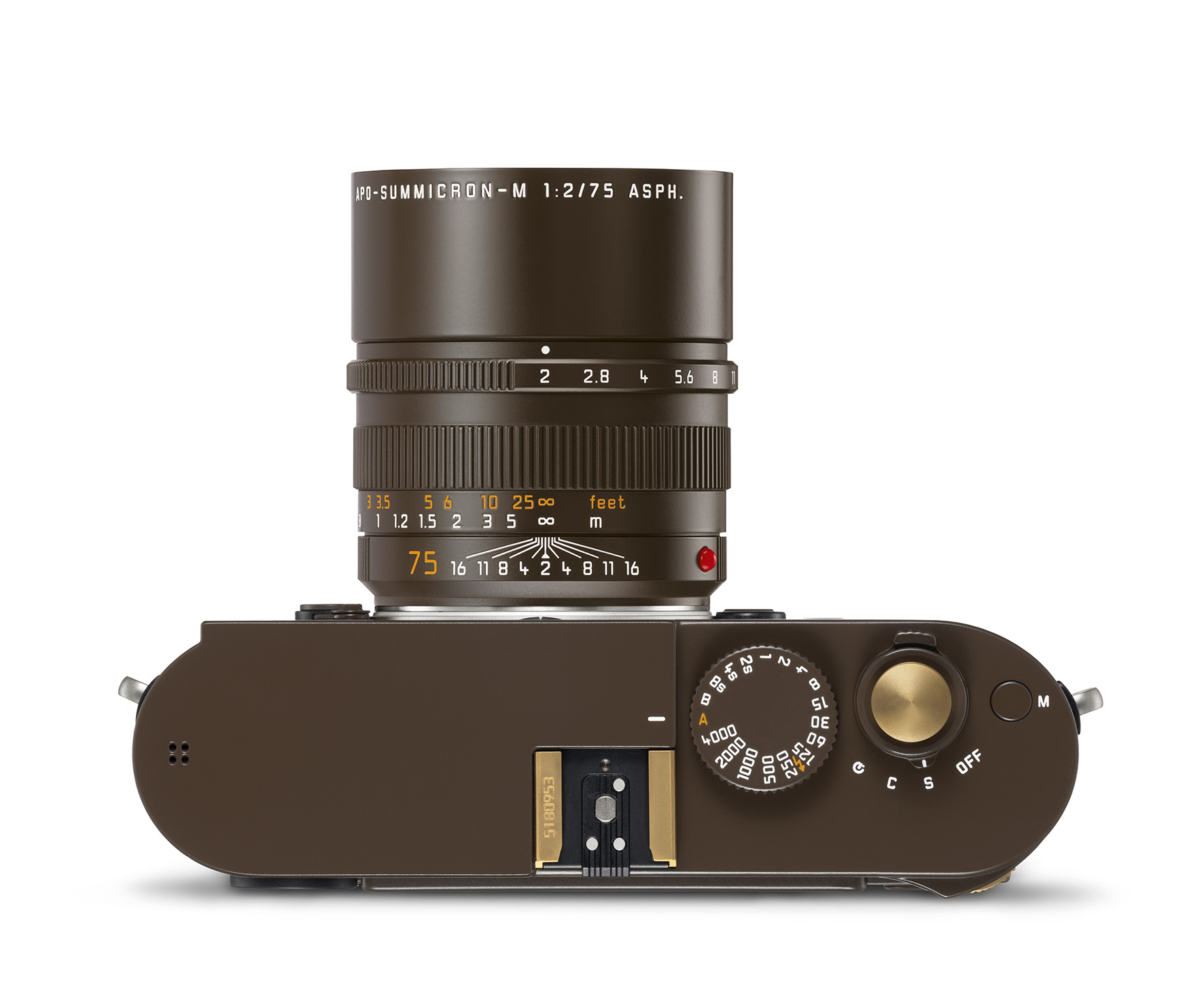 Lenny Kravitz x Leica (7)