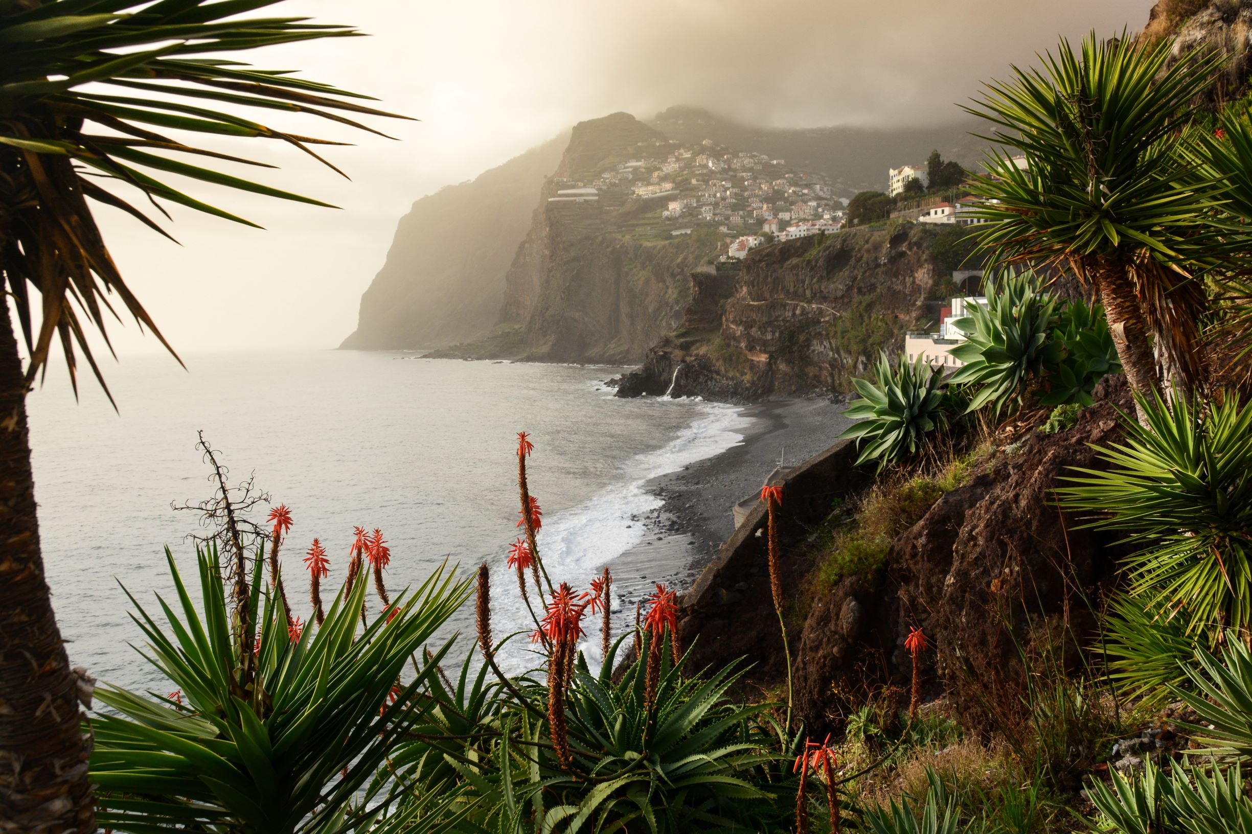The Ultimate Guide To The Portuguese Island Of Madeira Maxim