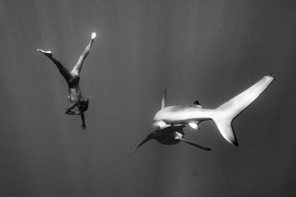 Marisa Papen with Sharks (1)