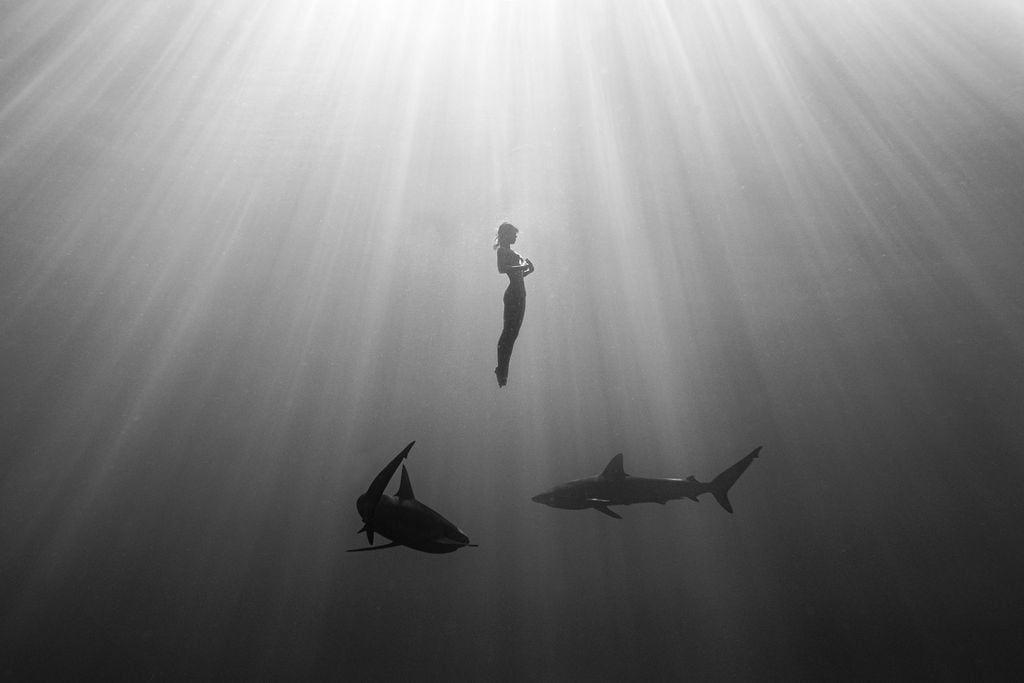 Marisa Papen with Sharks (4)