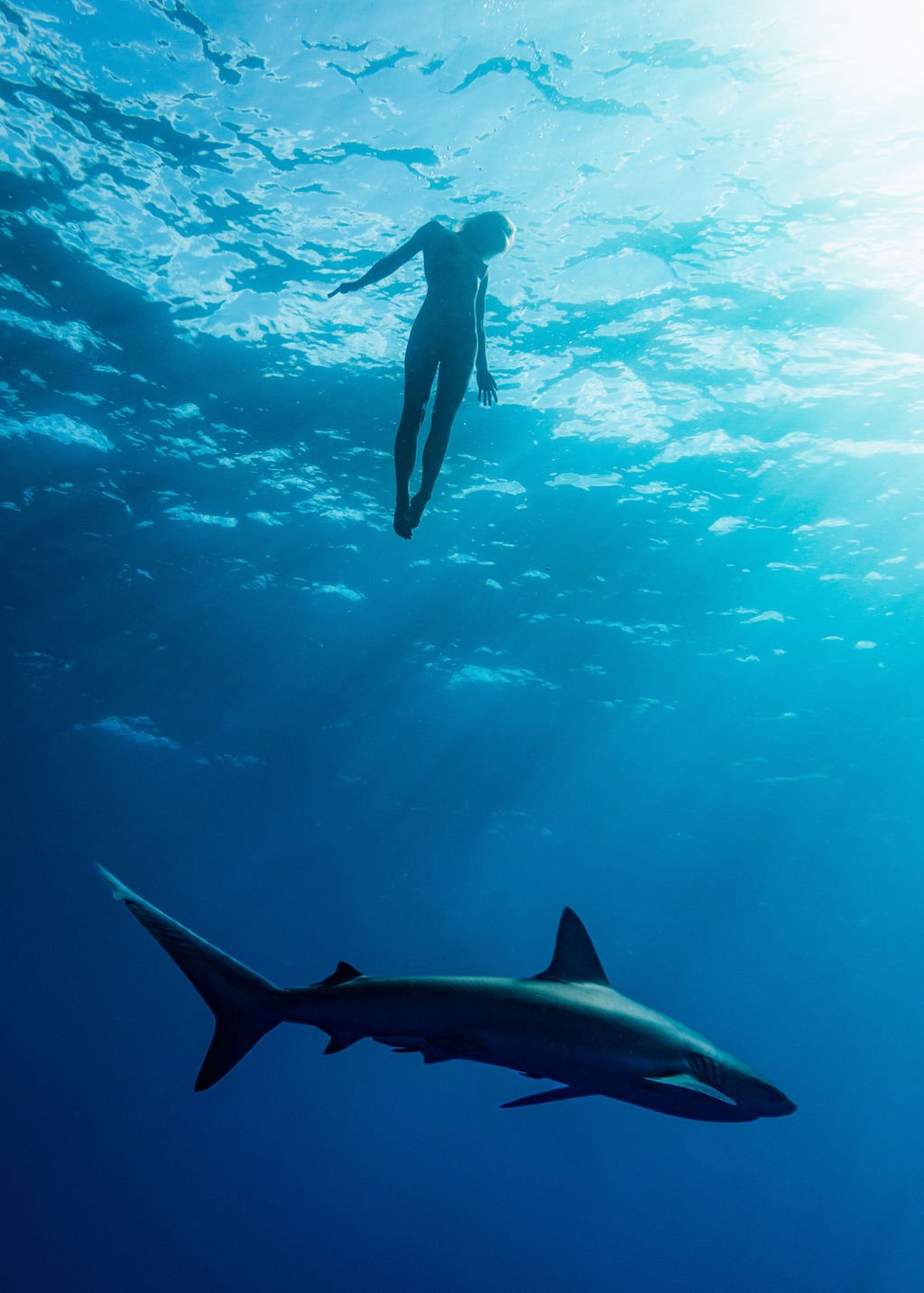 Marisa Papen with Sharks (5)