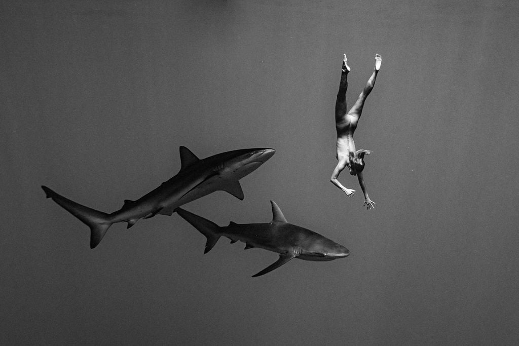 Marisa Papen with Sharks (6)