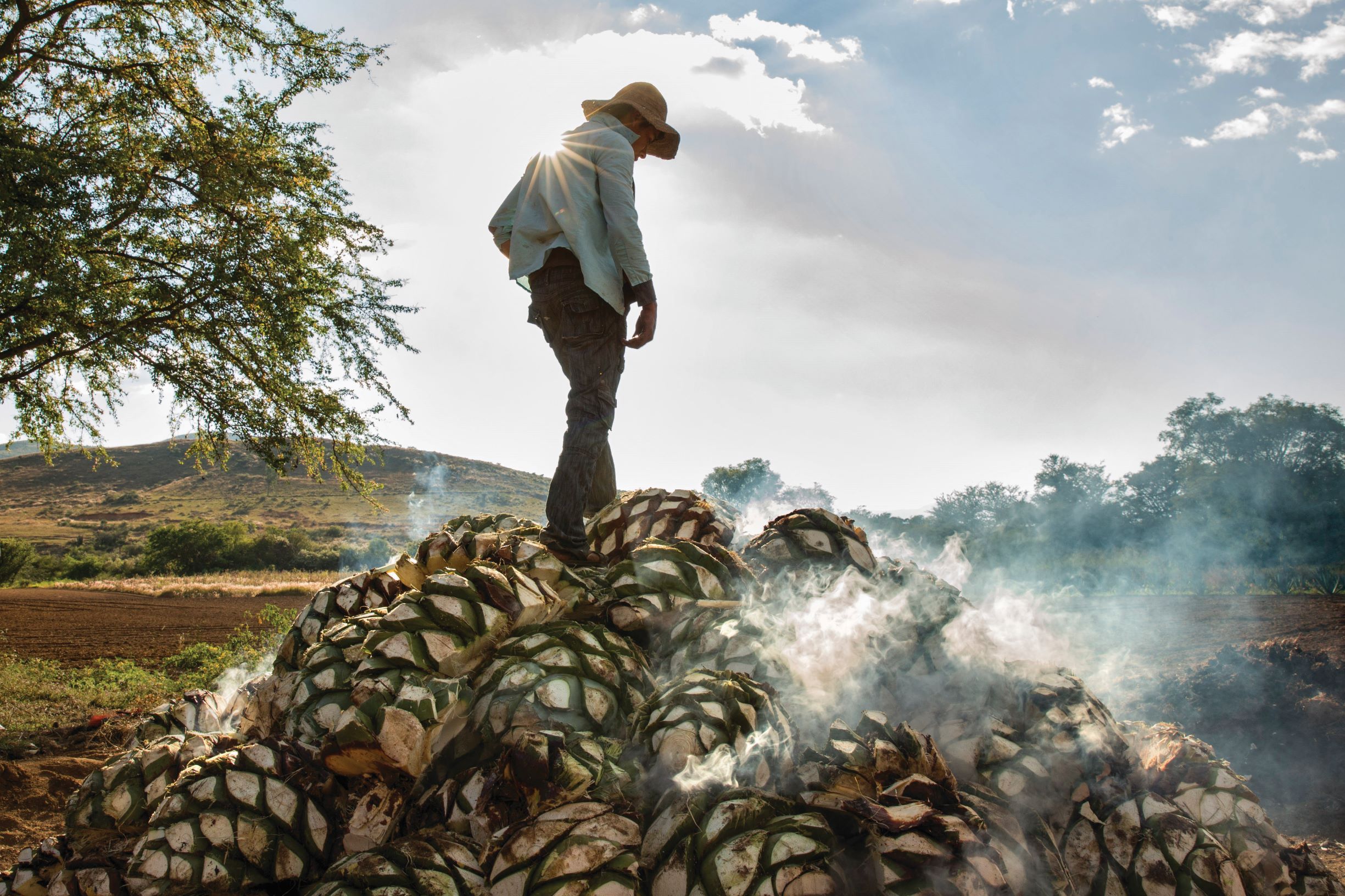 Mezcal (11)