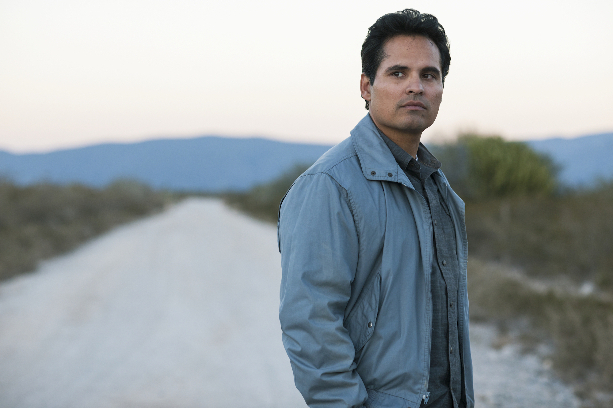 Michael Pena Narcos