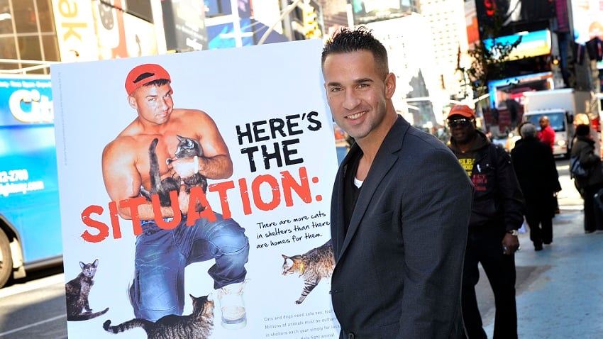 Mike Sorrentino