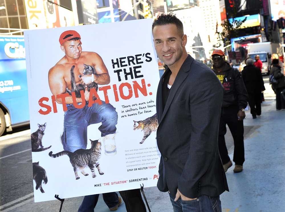 Mike Sorrentino