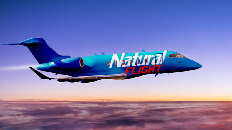 natural-flight-natty-light